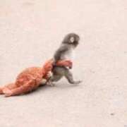 ヒメ日記 2026/02/23 21:49 投稿 城ケ崎　れい エテルナ京都