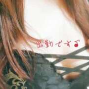 ヒメ日記 2025/11/08 10:30 投稿 みさ 素人妻達☆マイふぇらレディー