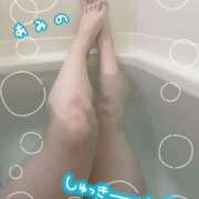 ヒメ日記 2025/01/08 12:48 投稿 あみの 京都BOOK MARK（ブックマーク）