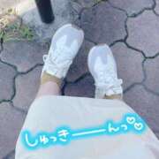 ヒメ日記 2025/06/28 12:28 投稿 あみの 京都BOOK MARK（ブックマーク）