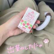 ヒメ日記 2025/09/26 14:44 投稿 あみの 京都BOOK MARK（ブックマーク）