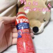 ヒメ日記 2026/03/31 12:28 投稿 あみの 京都BOOK MARK（ブックマーク）