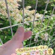 ヒメ日記 2026/05/14 11:21 投稿 あみの 京都BOOK MARK（ブックマーク）