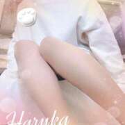 ヒメ日記 2025/02/17 08:00 投稿 悠（はるか） 男爵