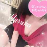 ヒメ日記 2025/03/26 15:55 投稿 悠（はるか） 男爵