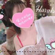 ヒメ日記 2025/05/17 15:22 投稿 悠（はるか） 男爵