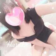 ヒメ日記 2025/07/11 11:34 投稿 悠（はるか） 男爵