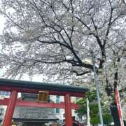 ヒメ日記 2025/04/03 18:13 投稿 そら 完熟ばなな大宮