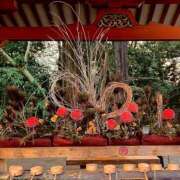 ヒメ日記 2026/01/19 18:16 投稿 そら 完熟ばなな大宮