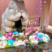 ヒメ日記 2026/01/24 23:10 投稿 そら 完熟ばなな大宮