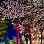 ヒメ日記 2026/04/04 00:26 投稿 そら 完熟ばなな大宮