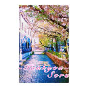 そら 春の夜長に… 完熟ばなな大宮