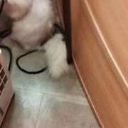 ヒメ日記 2025/09/30 19:44 投稿 【S】じゅん E+品川店