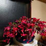 ヒメ日記 2026/02/02 18:50 投稿 ともみ 台北(たいぺい）