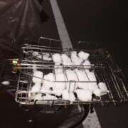 ヒメ日記 2026/02/08 22:10 投稿 ともみ 台北(たいぺい）