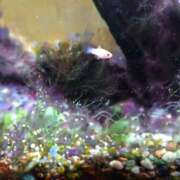 ヒメ日記 2026/02/09 17:01 投稿 ともみ 台北(たいぺい）