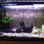 ともみ 大掃除💦 台北(たいぺい）