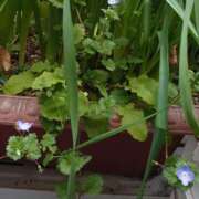 ヒメ日記 2026/02/22 16:00 投稿 ともみ 台北(たいぺい）