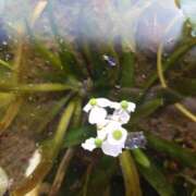 ヒメ日記 2026/02/23 19:10 投稿 ともみ 台北(たいぺい）