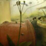 ヒメ日記 2026/02/24 15:00 投稿 ともみ 台北(たいぺい）