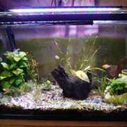 ヒメ日記 2026/02/28 10:50 投稿 ともみ 台北(たいぺい）