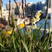 ヒメ日記 2026/03/02 17:40 投稿 ともみ 台北(たいぺい）