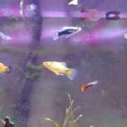 ヒメ日記 2026/03/04 17:40 投稿 ともみ 台北(たいぺい）