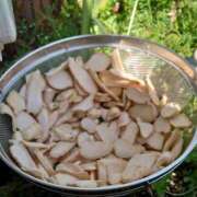 ヒメ日記 2026/03/07 15:30 投稿 ともみ 台北(たいぺい）