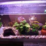 ヒメ日記 2026/03/08 19:50 投稿 ともみ 台北(たいぺい）