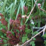 ヒメ日記 2026/03/09 14:50 投稿 ともみ 台北(たいぺい）