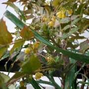 ヒメ日記 2026/03/10 16:00 投稿 ともみ 台北(たいぺい）