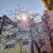 ヒメ日記 2026/03/28 15:00 投稿 ともみ 台北(たいぺい）