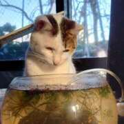 ともみ 何見てんのよ〜‼️ 台北(たいぺい）