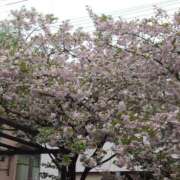 ともみ こんどは私のばんよ‼️❤️ 台北(たいぺい）