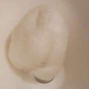 ヒメ日記 2026/01/15 10:31 投稿 神楽坂まお 若奥サマンサ（横浜ハレ系）