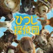 ヒメ日記 2026/05/10 21:54 投稿 神楽坂まお 若奥サマンサ（横浜ハレ系）