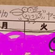 ヒメ日記 2026/05/14 09:47 投稿 神楽坂まお 若奥サマンサ（横浜ハレ系）