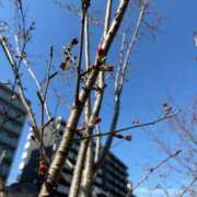 加藤ひろみ おはようございます☀️ 若奥サマンサ（横浜ハレ系）