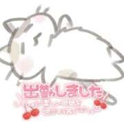 ヒメ日記 2026/01/19 11:24 投稿 ありす 西川口マーメイド