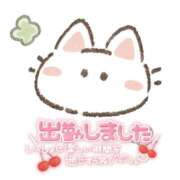 ヒメ日記 2026/01/22 10:21 投稿 ありす 西川口マーメイド