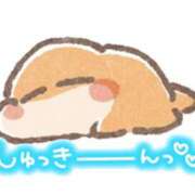 ヒメ日記 2026/09/18 09:56 投稿 ありす 西川口マーメイド