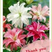 ヒメ日記 2025/06/21 08:35 投稿 あいな 奥鉄オクテツ東京店（デリヘル市場）