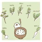 ヒメ日記 2026/01/07 13:40 投稿 北野さおり 若奥サマンサ（横浜ハレ系）