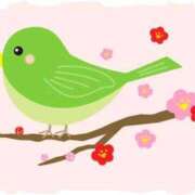 北野さおり こんにちは。 若奥サマンサ（横浜ハレ系）