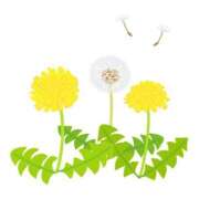 ヒメ日記 2026/04/01 13:12 投稿 北野さおり 若奥サマンサ（横浜ハレ系）