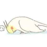 ヒメ日記 2026/04/21 14:01 投稿 北野さおり 若奥サマンサ（横浜ハレ系）