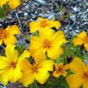 ヒメ日記 2024/12/14 16:01 投稿 美夏（ミカ） アバンチュール(五反田)