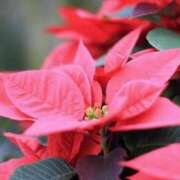 ヒメ日記 2025/01/03 15:01 投稿 美夏（ミカ） アバンチュール(五反田)