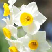 ヒメ日記 2025/01/29 16:46 投稿 美夏（ミカ） アバンチュール(五反田)