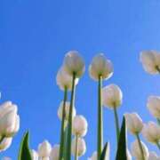 ヒメ日記 2025/02/01 13:31 投稿 美夏（ミカ） アバンチュール(五反田)